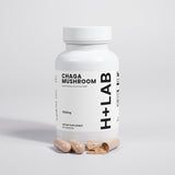 Chaga Mushroom