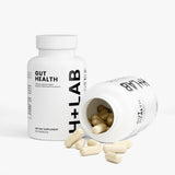 Gut Health