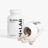 Sea Moss