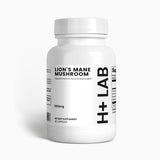 Lion's Mane Mushroom